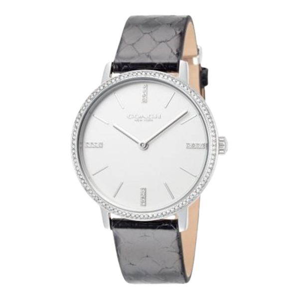 Coach Audrey Women's Watch